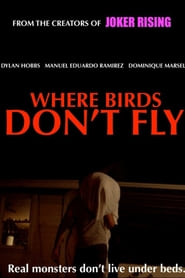 Where Birds Don’t Fly