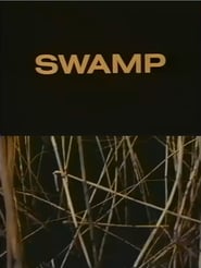 Swamp