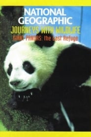 Giant Pandas: The Last Refuge