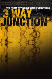 3 Way Junction