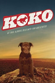 Koko: A Red Dog Story