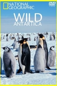 Wild Antarctica