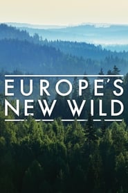 Europe’s New Wild